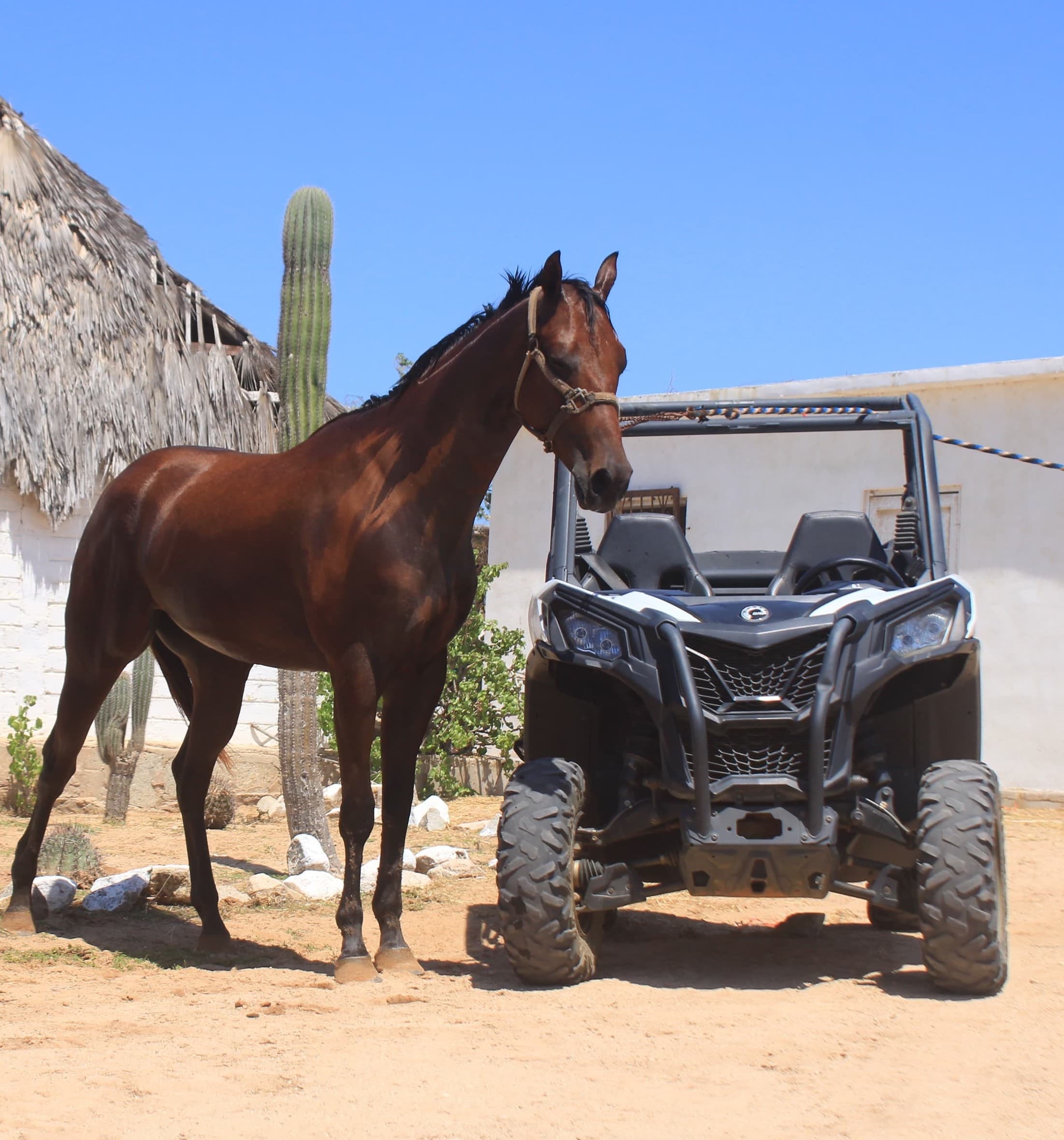 Outdoor Adventure at Rancho San Cristóbal in Los Cabos
