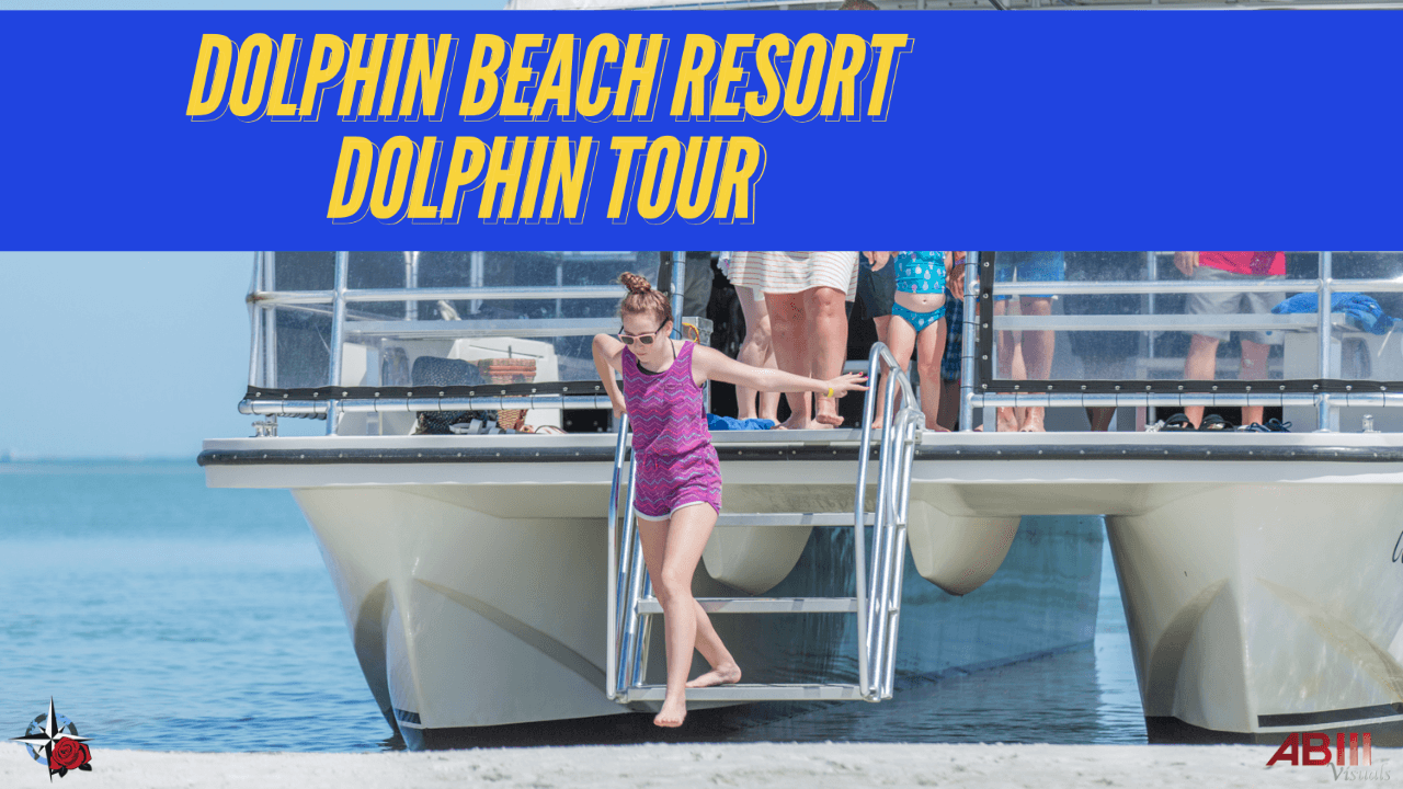 Water Activities with Suncoast Watersports at Dolphin Beach