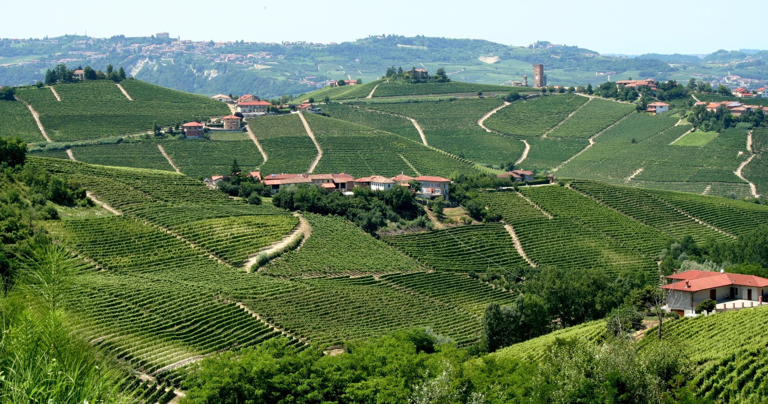 Rolling vineyard hills ideal for hiking and wine country tours