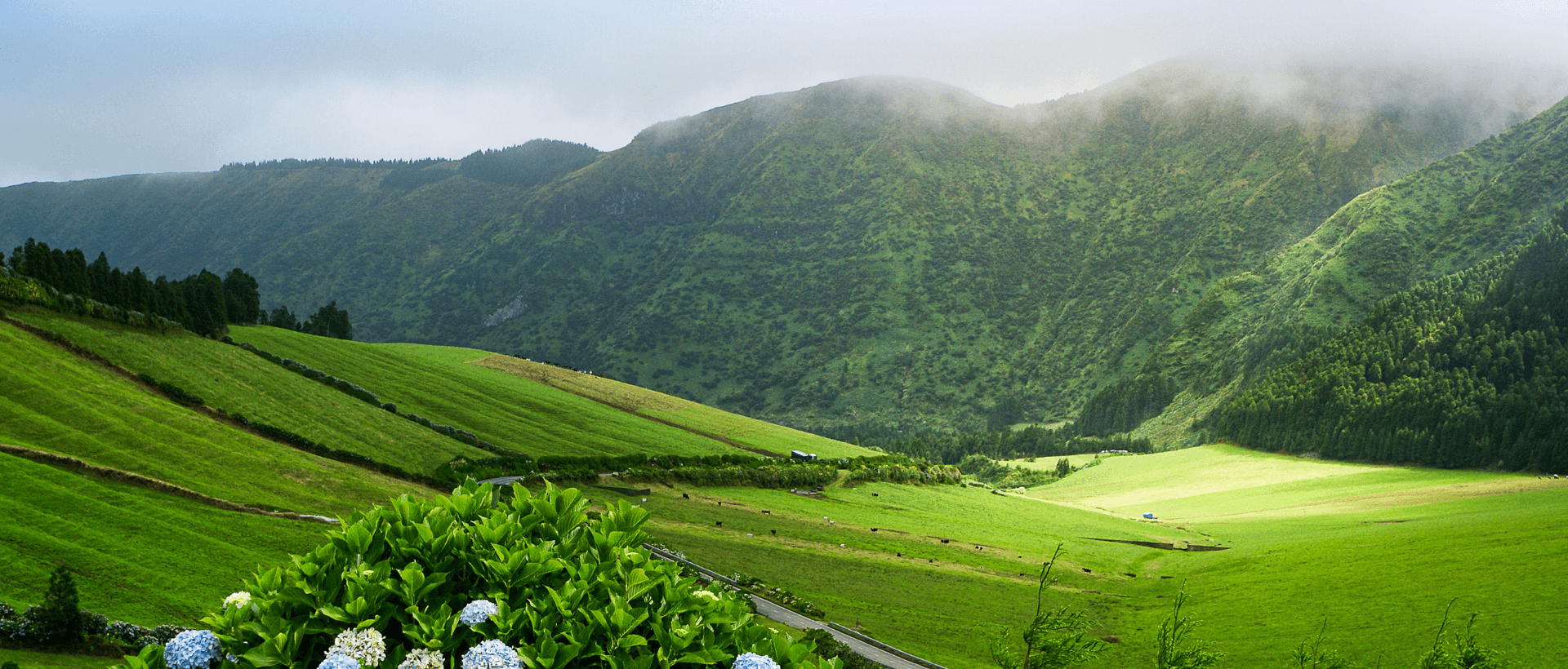 Hikers' view over green Azores valley with rolling pastures
