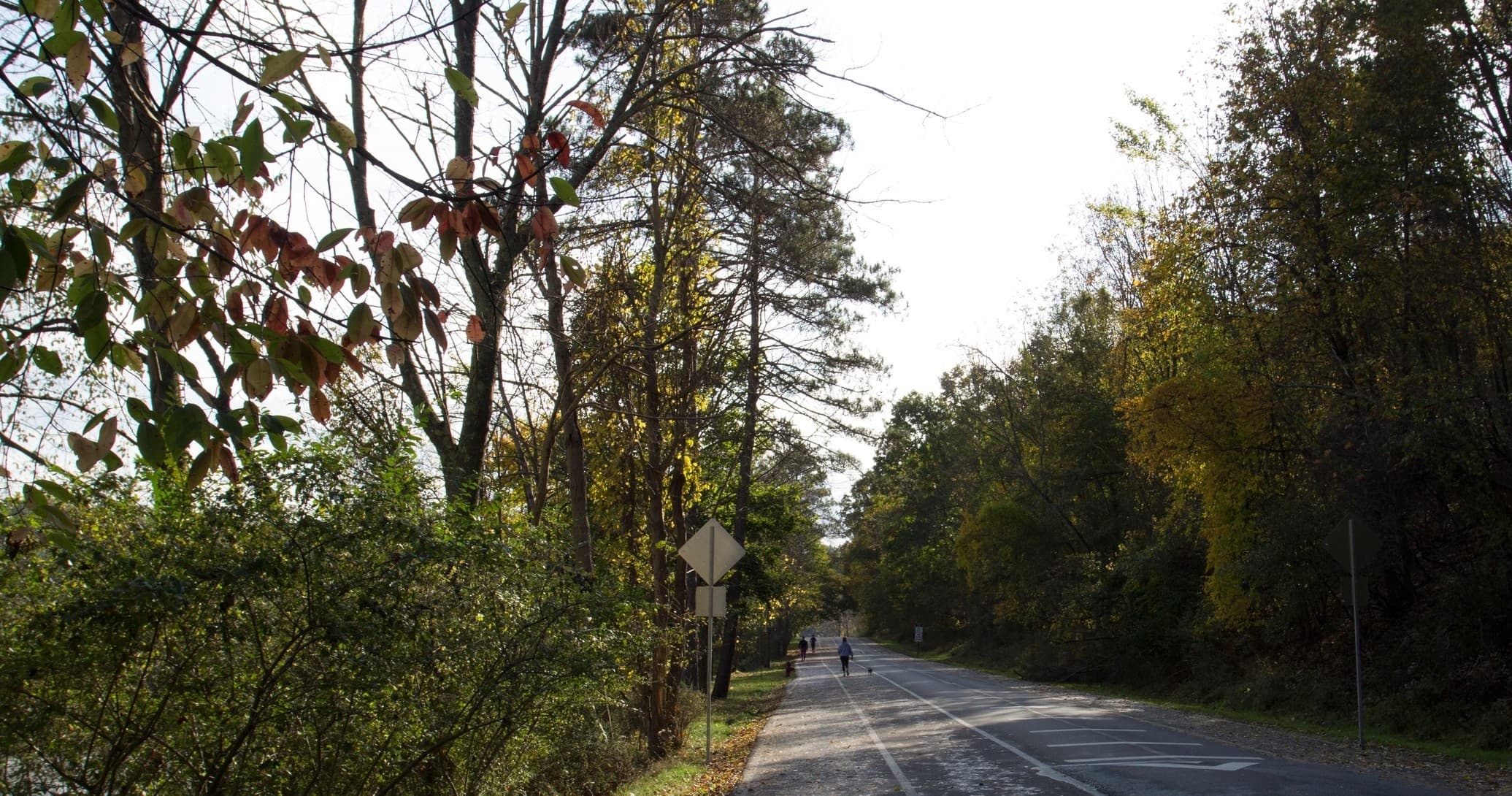 Land Adventures with Venture Outdoors at North Park