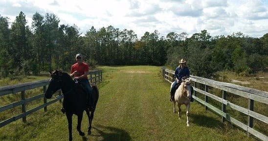 Two riders on horseback along a fenced grassy trail in Florida