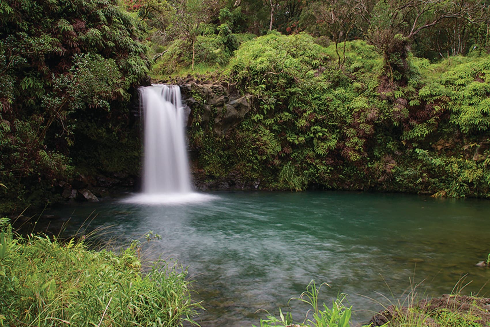 Road to Hana Adventure with Polynesian Adventure Activities