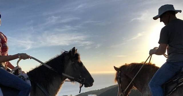 Horseback riders silhouetted at sunset on coastal ranch trail