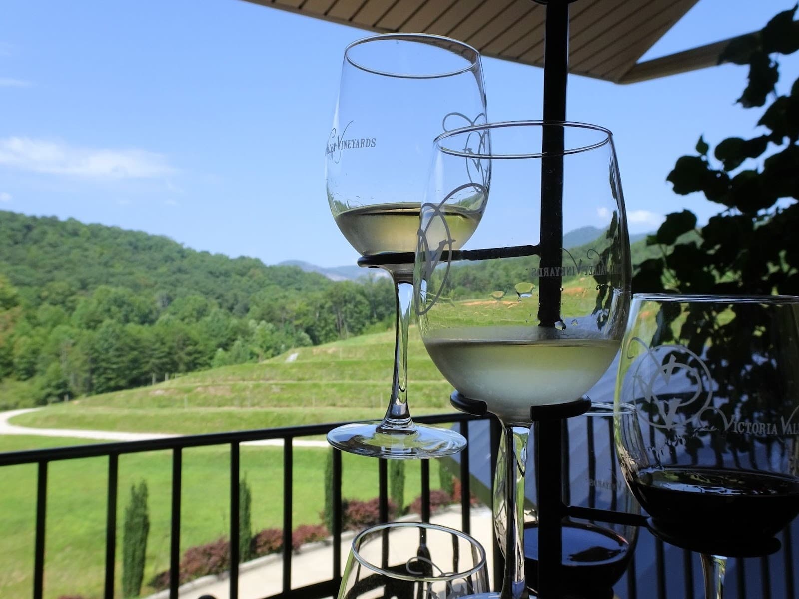 Saturday Guided Wine Tasting in Marietta: Taste South Carolina Wines