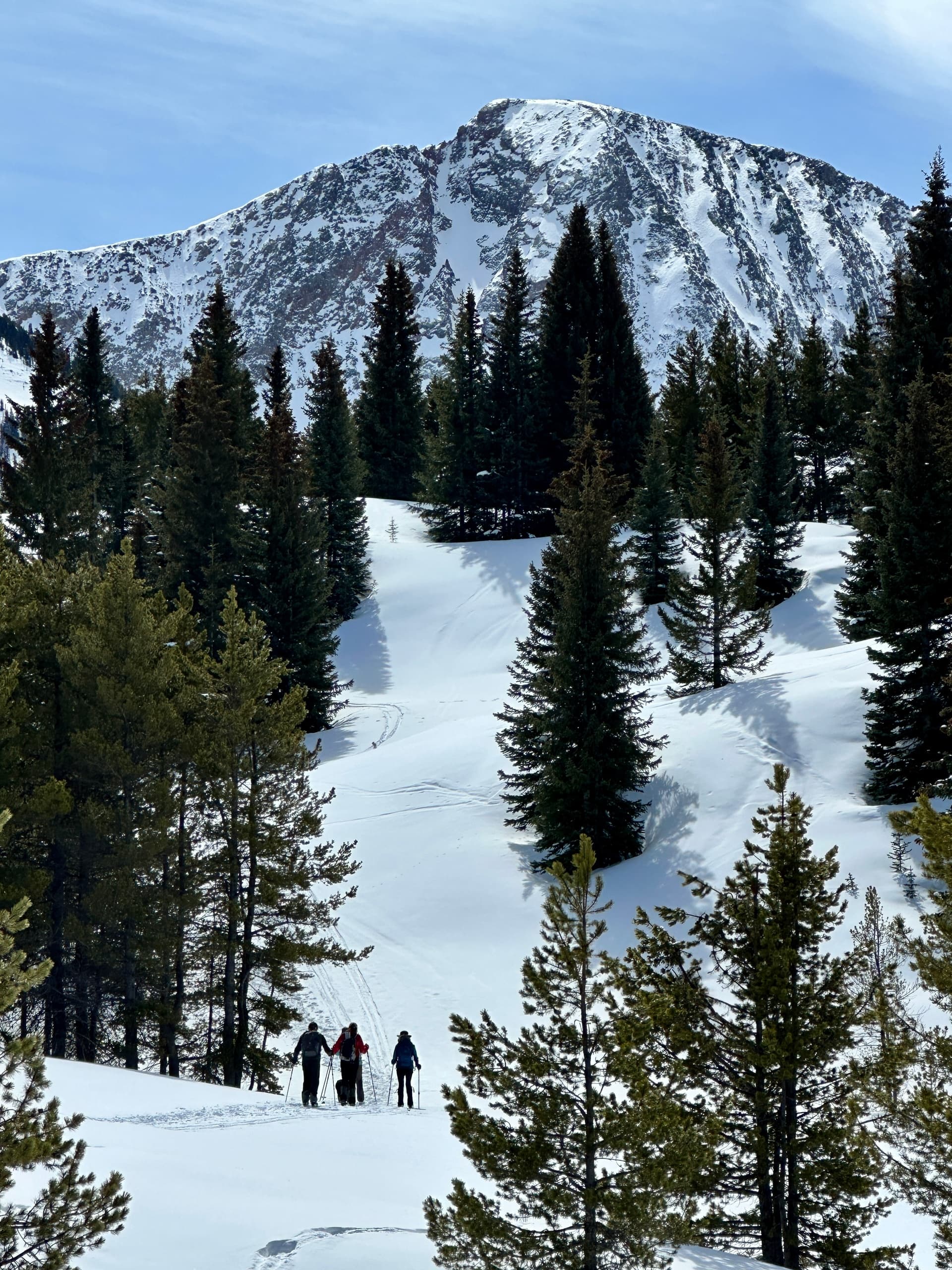 Guided Snowshoeing in the San Juan Mountains: Customized Mixed-Group Tours from Durango photo 3