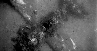 Helldiver & Triple Anchors Dives with Maui Diamond Sea Sports photo 1