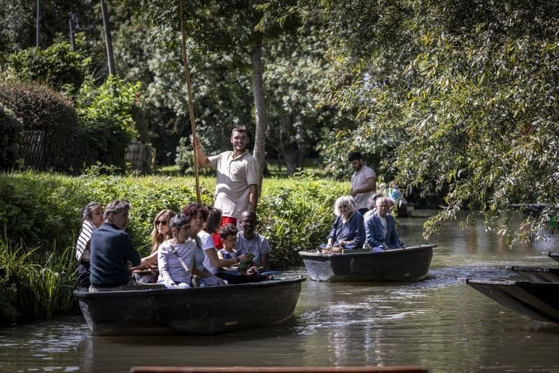 Multiple punts gliding under trees on scenic river tour