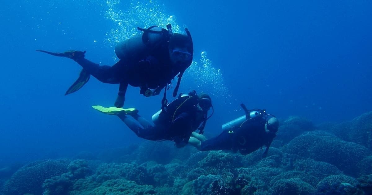 Scuba Diving Adventure with Season Challenge Azores Islands Diving Center