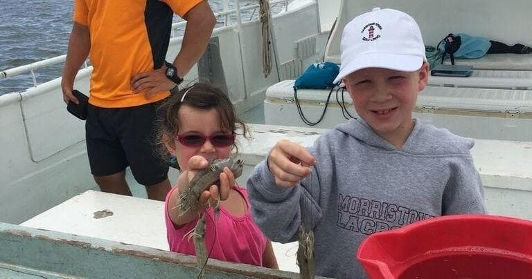 Shrimp Trawling Expedition | Boat Tour in Hilton Head Island, South Carolina photo 1