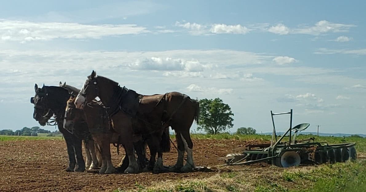 Unique Amish Immersion Experience in Lancaster, PA