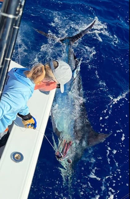 Fishing Charter in Coastal Region with Reel Escapes