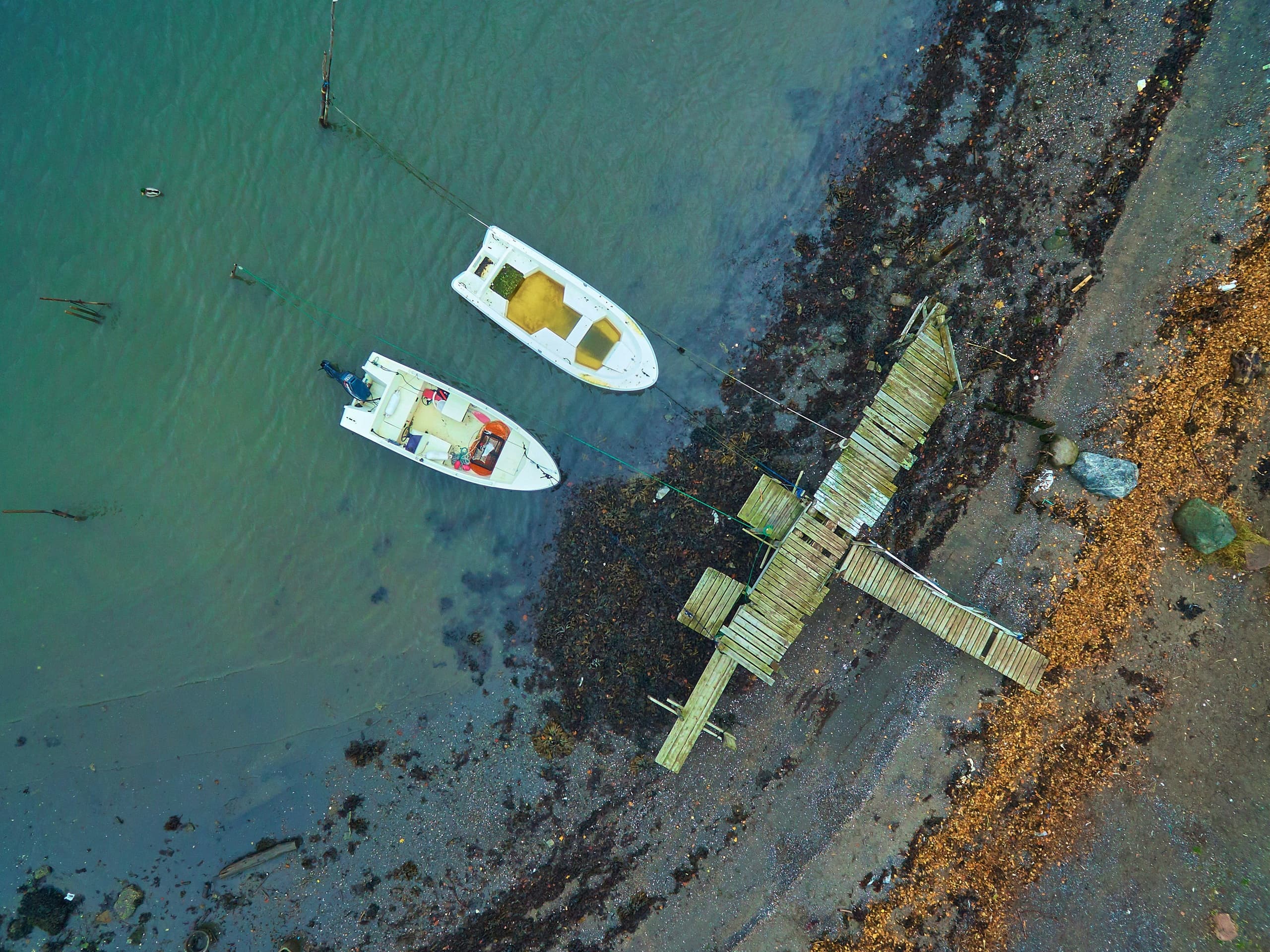 Boating Certification Training with Greenwich Nautica in Dénia