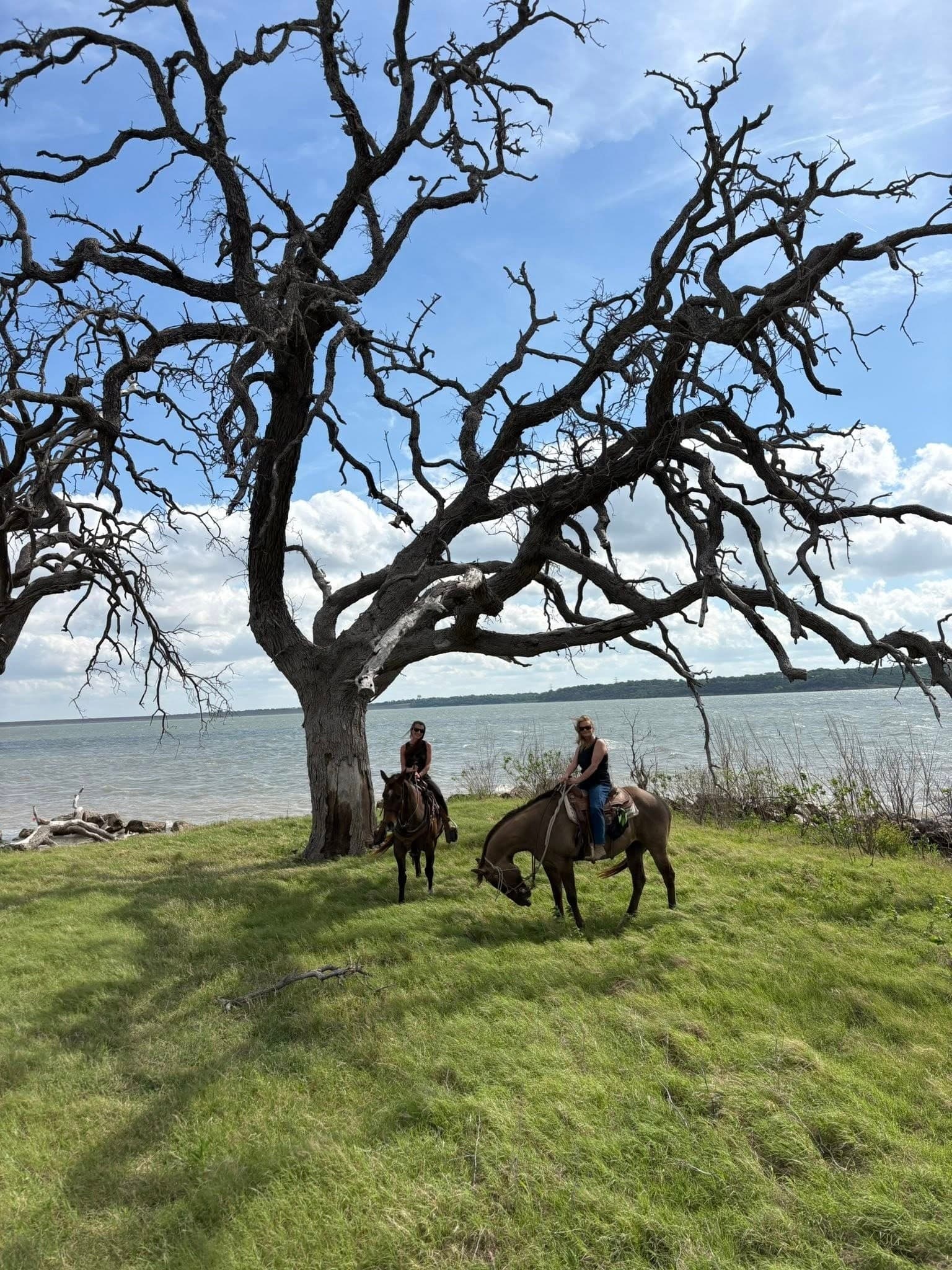 Lake Waco Shoreline Ride: Private 1-Hour Guided Horseback Experience