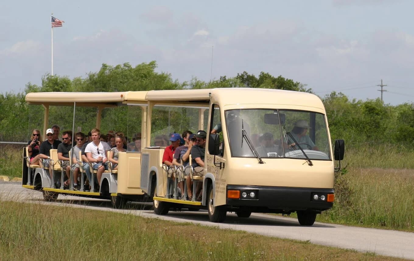 Shark Valley Tram: Everglades Nature & Wildlife Day Tour from North Miami photo 1