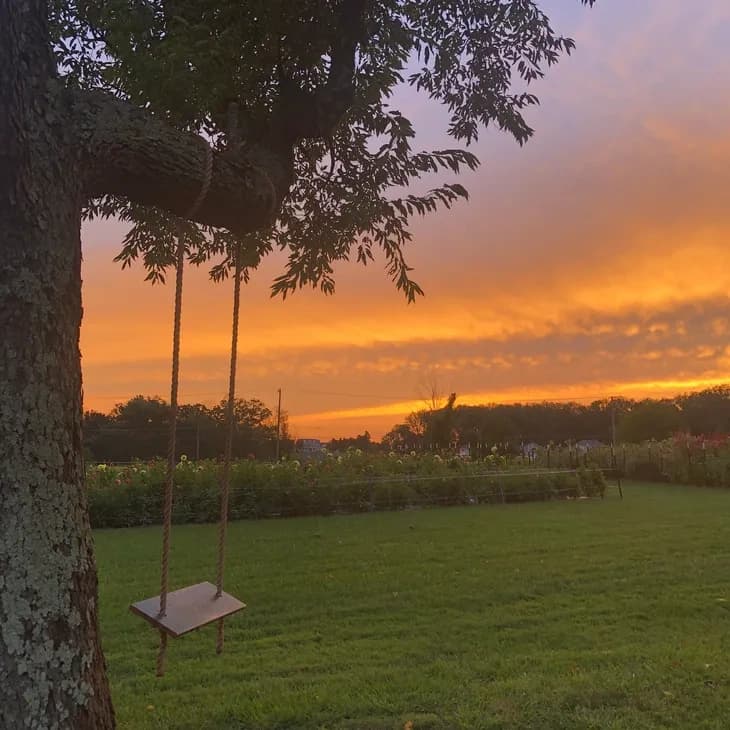 Yoga in the Garden: Relax in Phoenix, Maryland