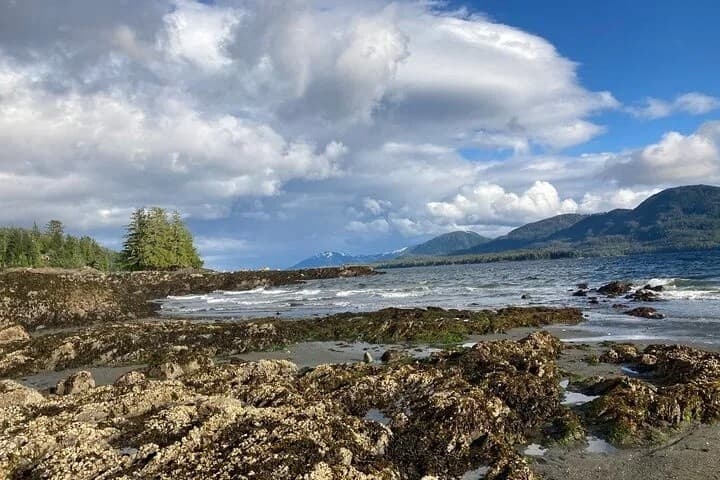 Oceanfront rocky shore under dramatic cloudy sky, scenic view