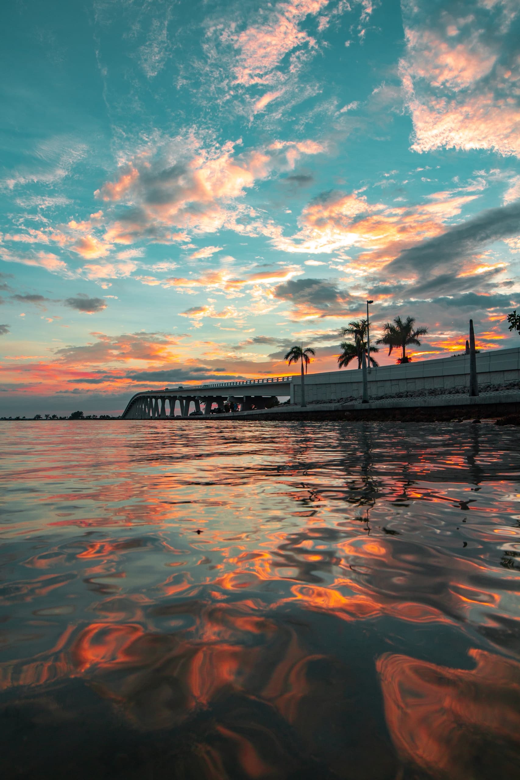 Good Morning Dolphin Jet Ski Tour in Fort Myers Beach