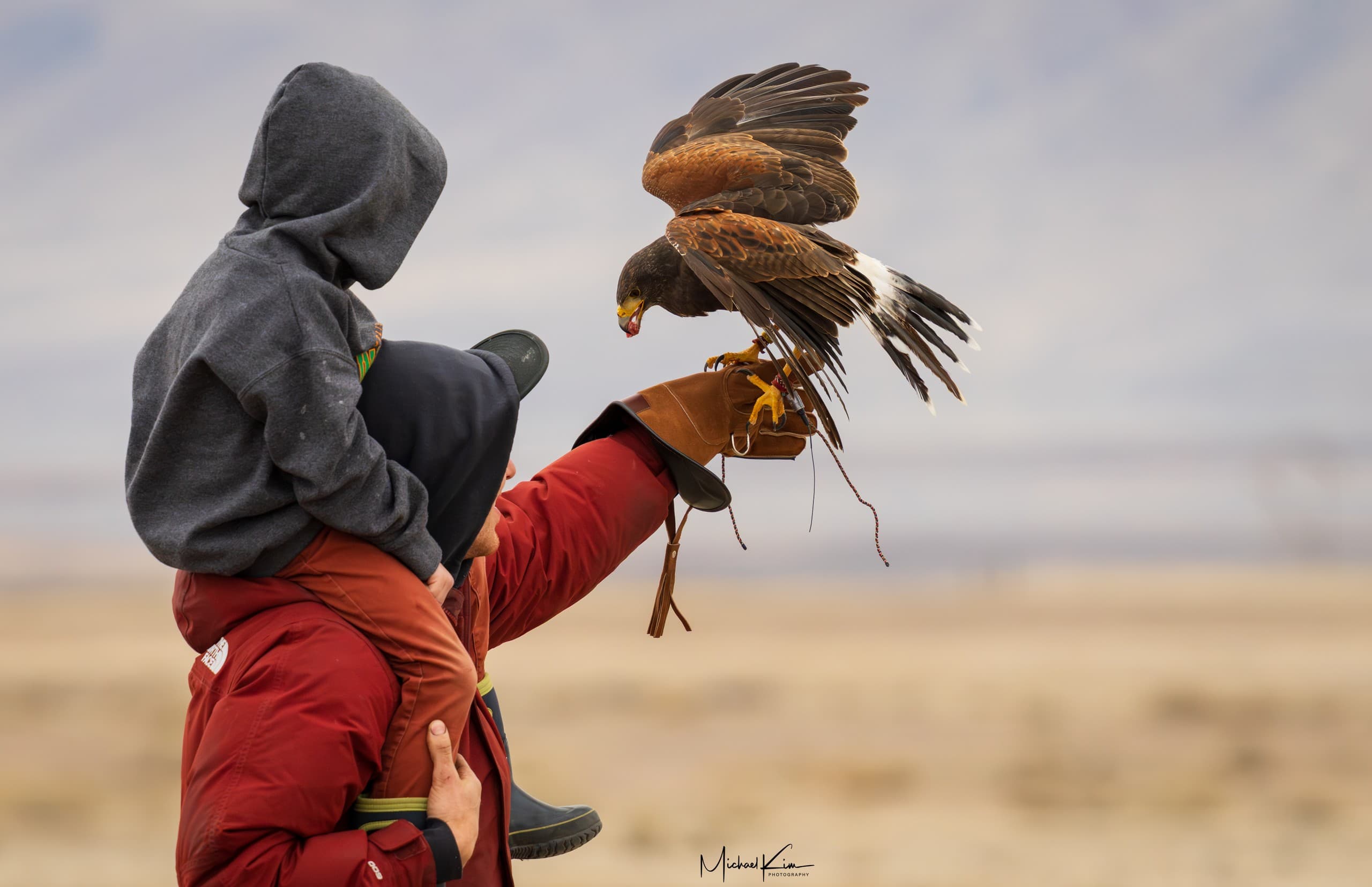 Falconry Immersive Show Near Bryce Canyon: Hands-On Birds of Prey Experience in Cannonville, UT