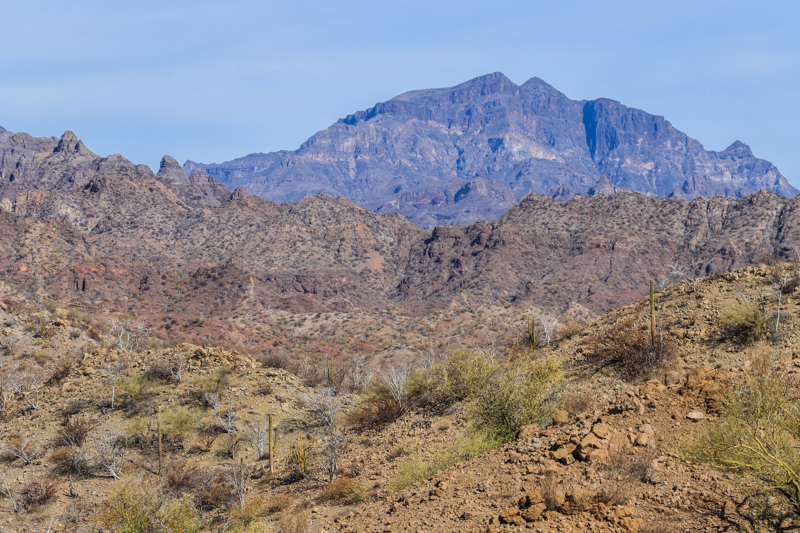Wildlife & Cultural Tour at Canipole Cave, Baja California Sur