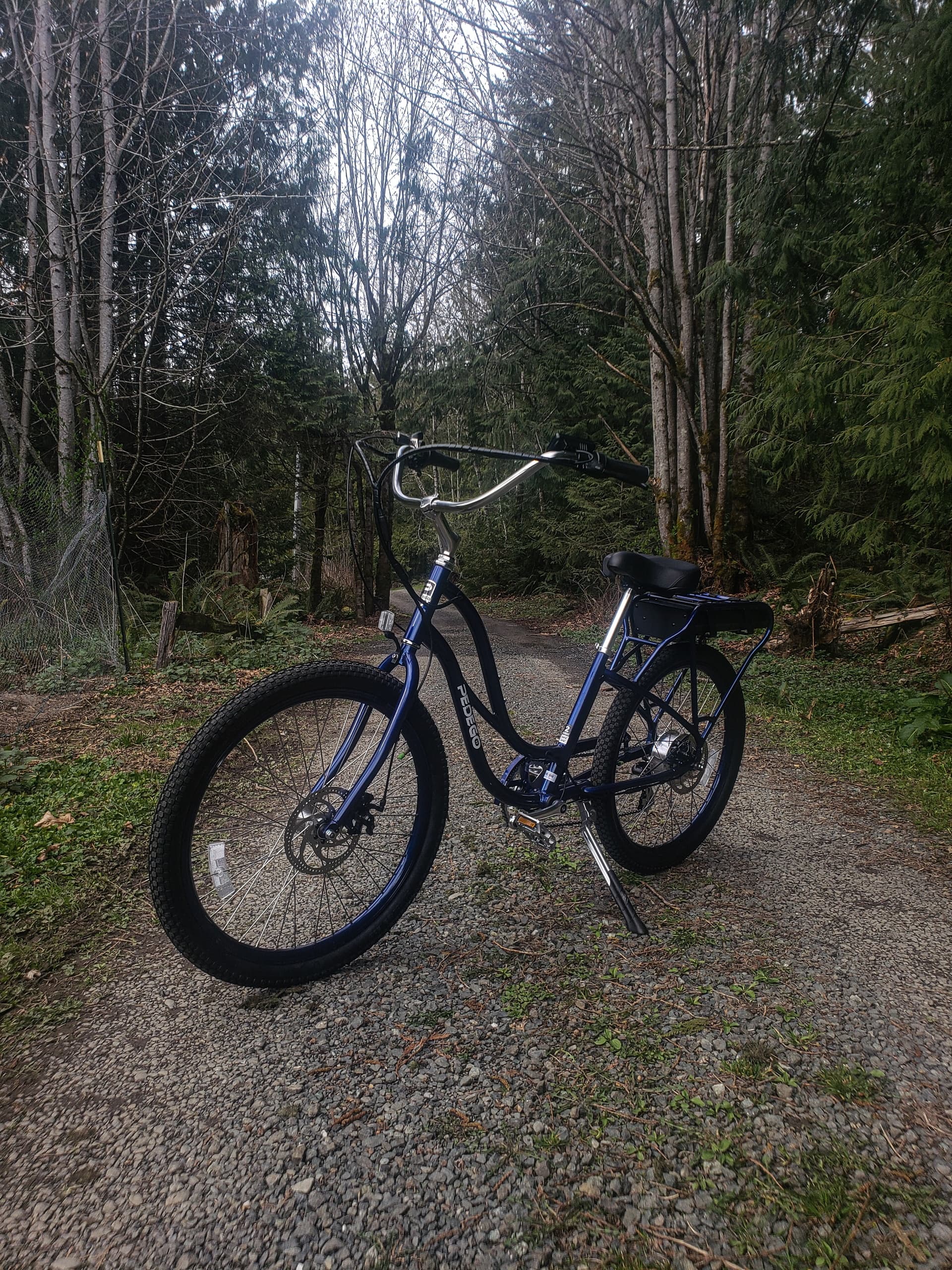 E-Bike Adventures in Olympic National Park with Comfort Cruiser