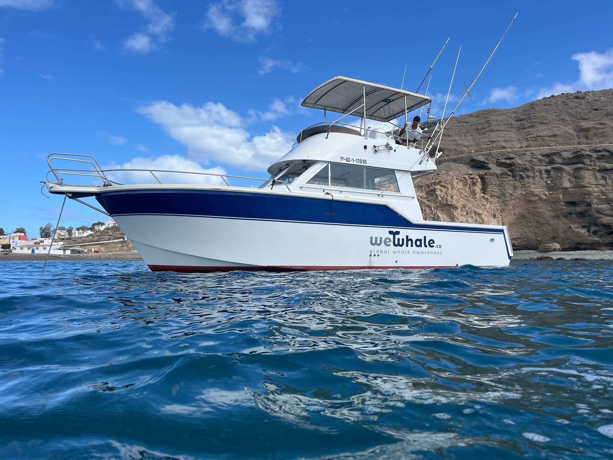 Gran Canaria Dolphin Observation (Shared Group Experience) | Guided Tour in Pasito Blanco | Boat Tour, Water Activities, Dolphin