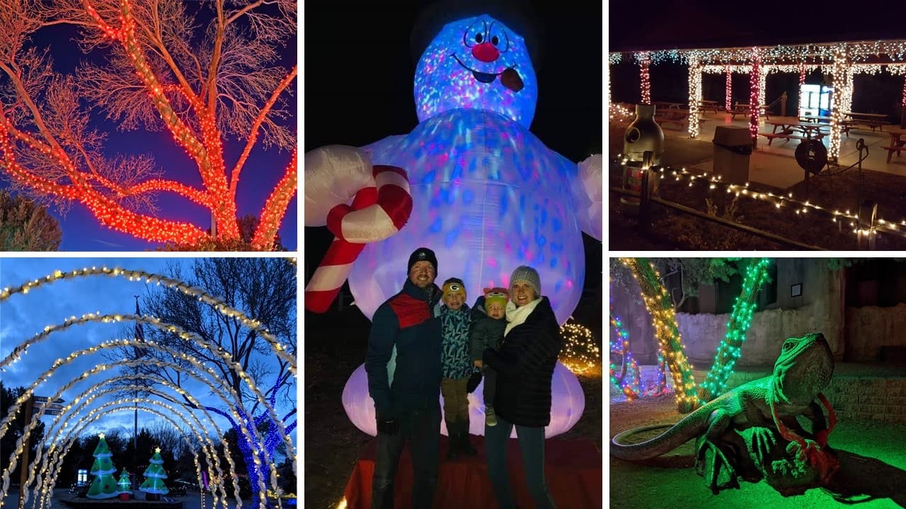 Winter Light Festival at Heritage Park Zoological Sanctuary