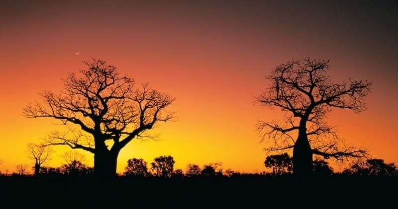 Gibb River Road: 8-Day Kimberley Adventure from Broome to Kununurra