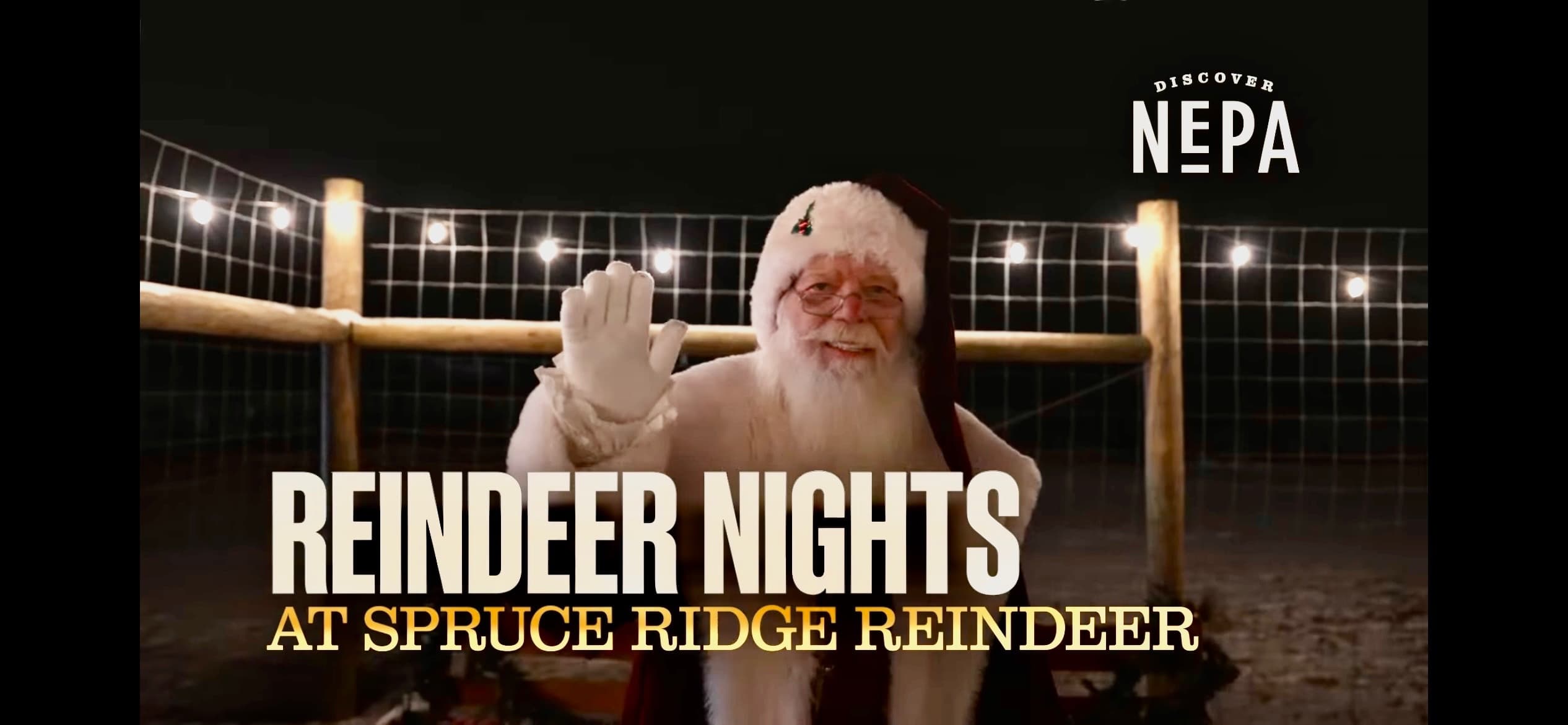 Winter Wildlife & Festivities at Spruce Ridge Reindeer