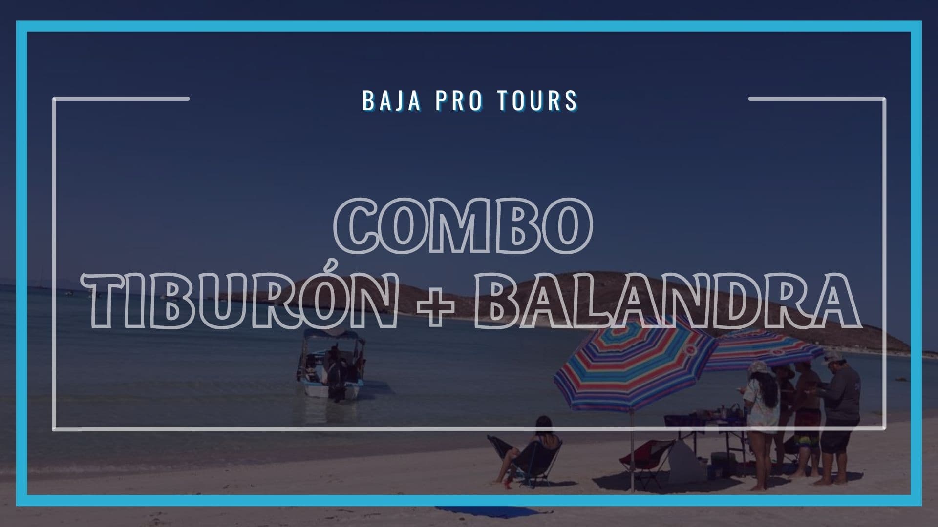 Swim with Whale Sharks & Balandra Beaches – Baja Protours