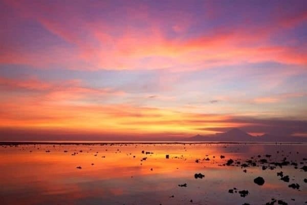 Sunset Voyage at Crystal River Preserve: Boat Tours for Manatees, Dolphins & Birds