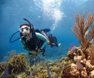 Discover Monterey Bay: Get PADI Certified with the Open Water Standard Course