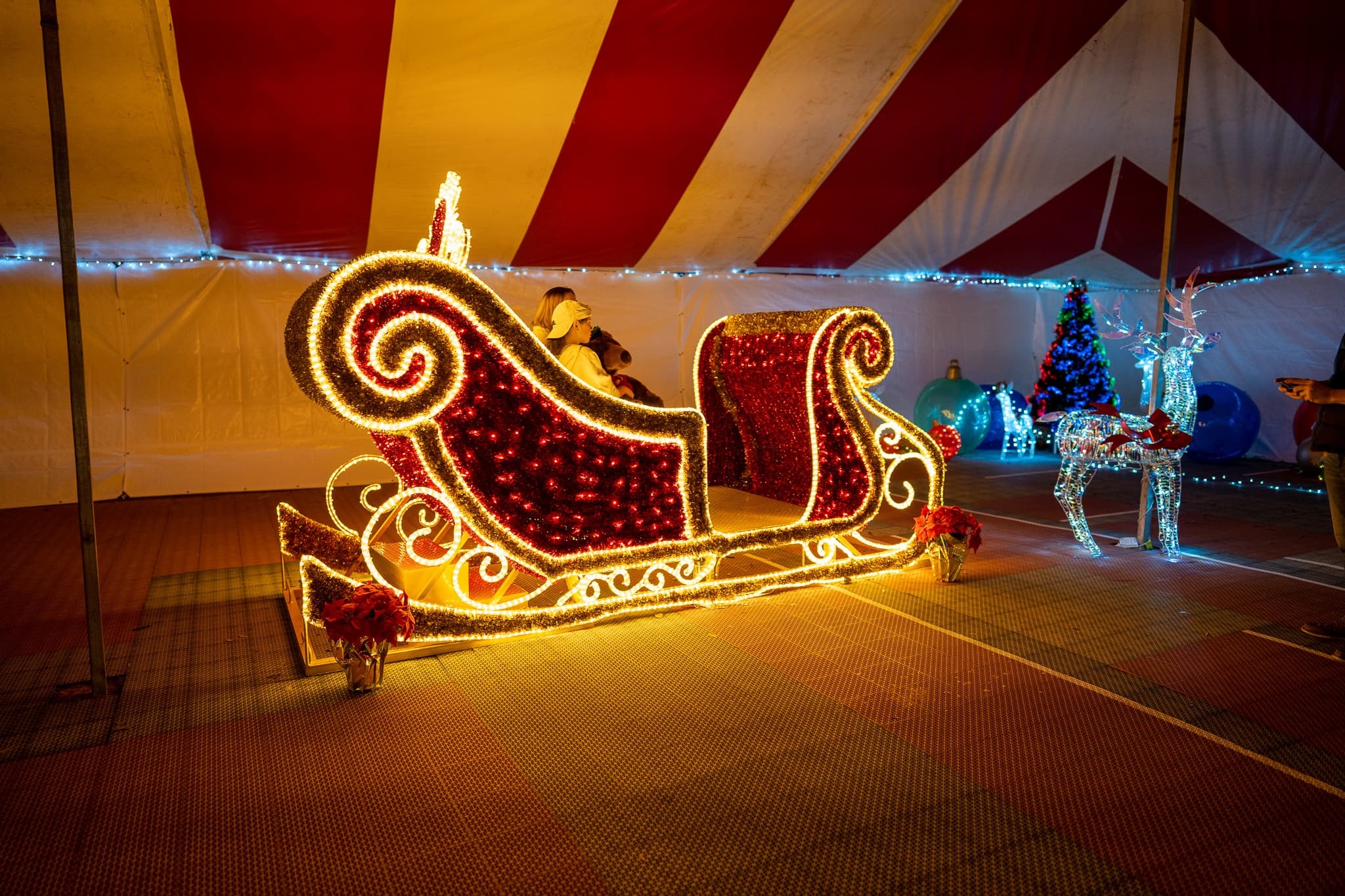 Experience the Magic of Festival of Lights and Winter Wonderland Wagon Ride at Bee City Zoo