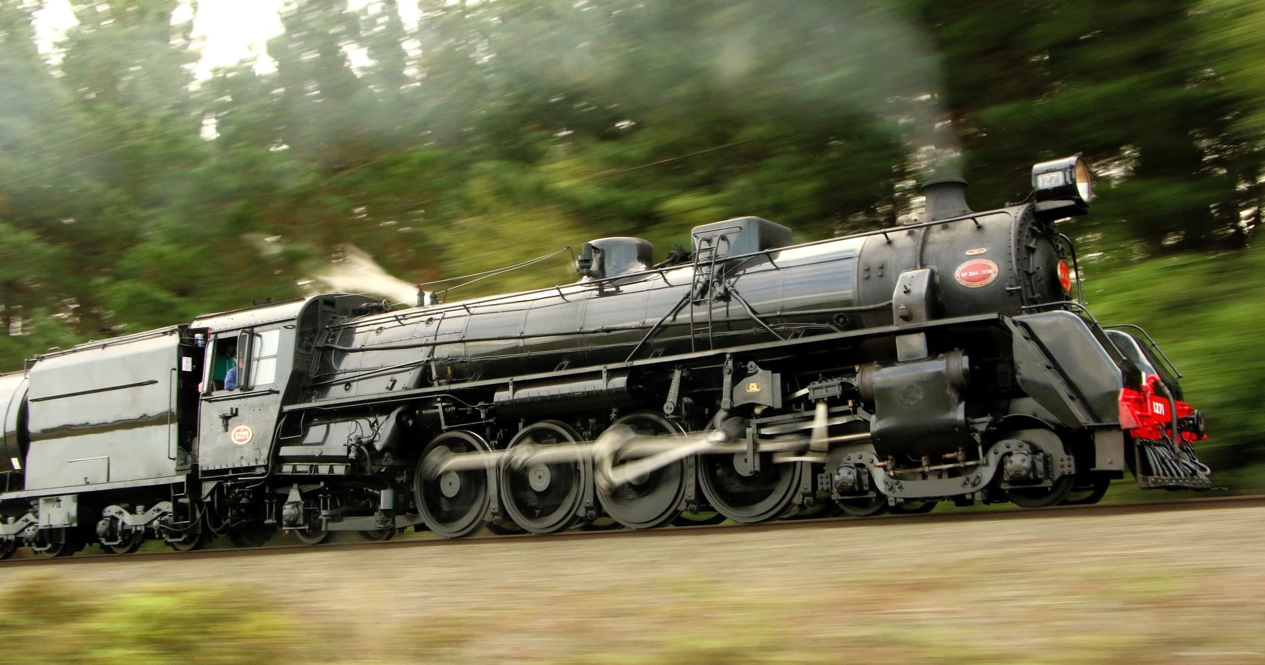 The Ashhurst Flyer | Rentals in Palmerston North |  photo 1