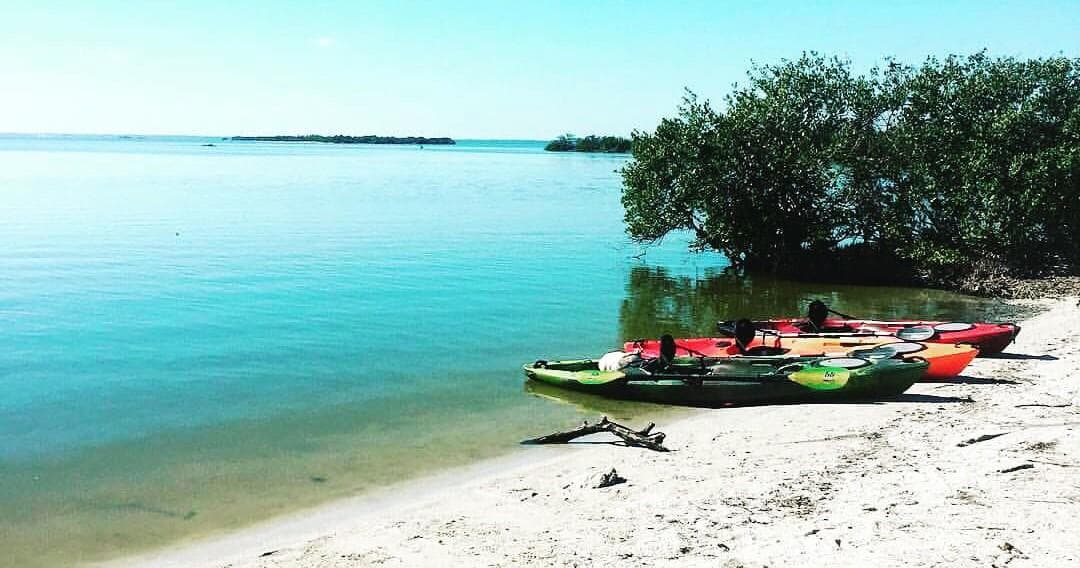 Bioluminescence & Wildlife Kayak Tour | A Day Away Kayak Tours