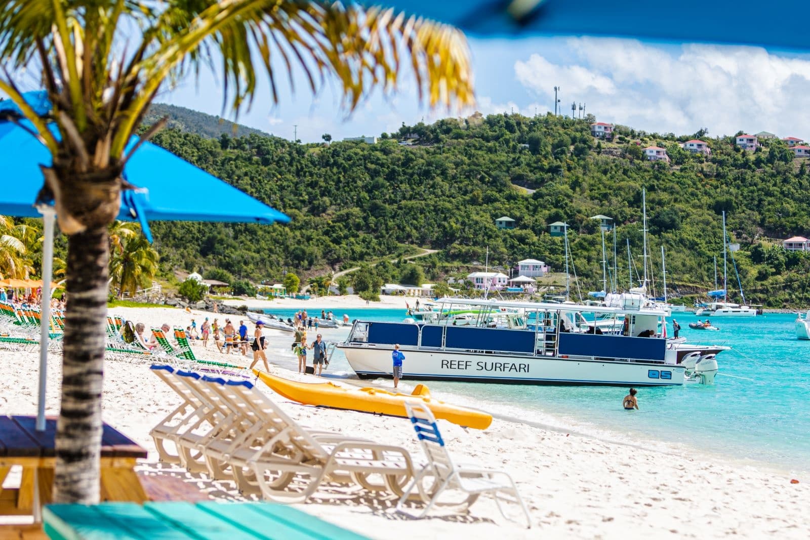 Beachfront Reef Surfari boat moored at tropical sandy cove