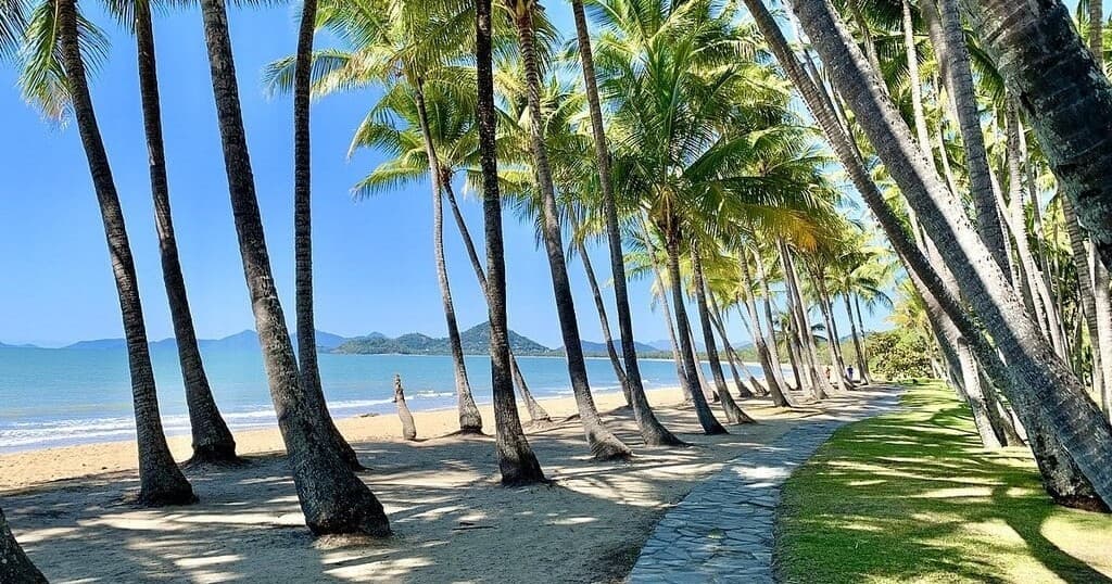 Palm-lined beachfront path for coastal trike tours, sunny