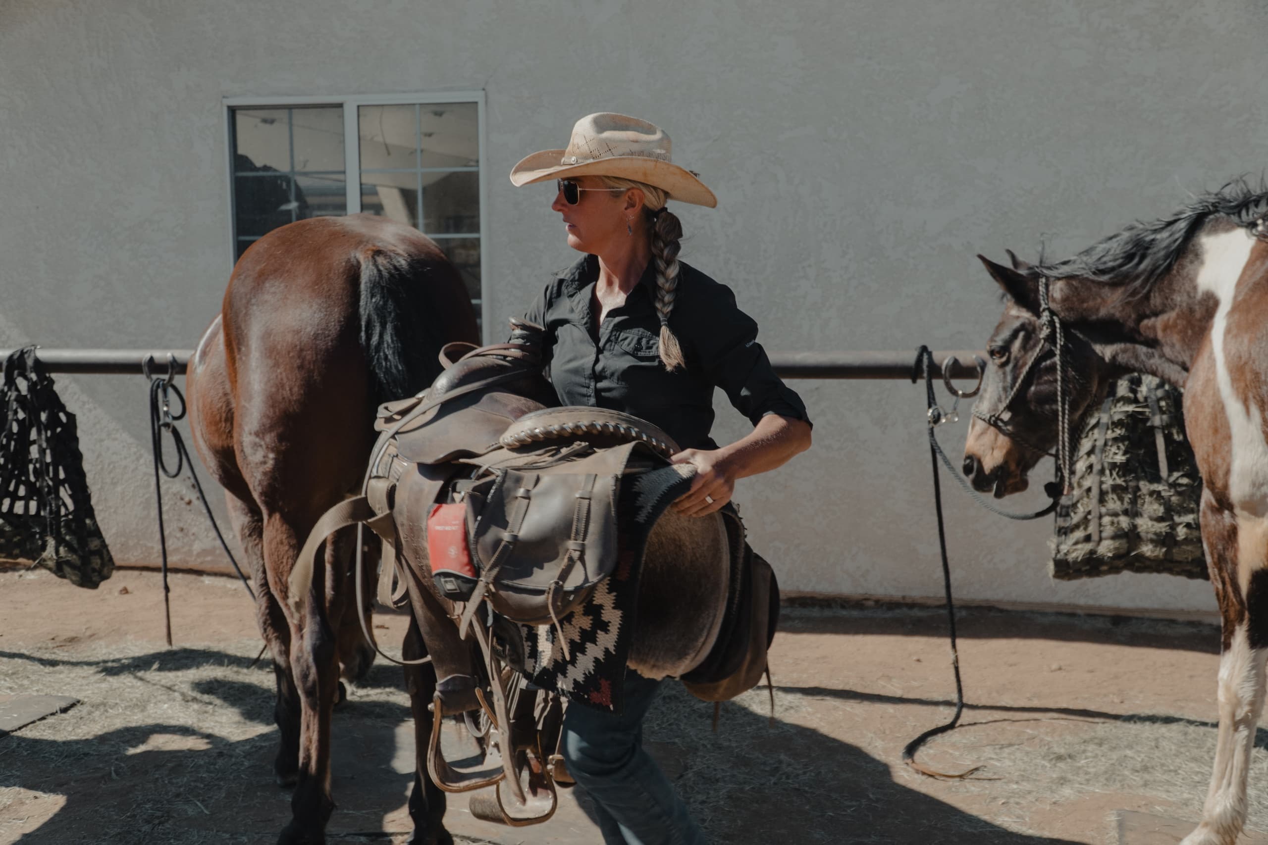 Knob Hill Ranch fleet