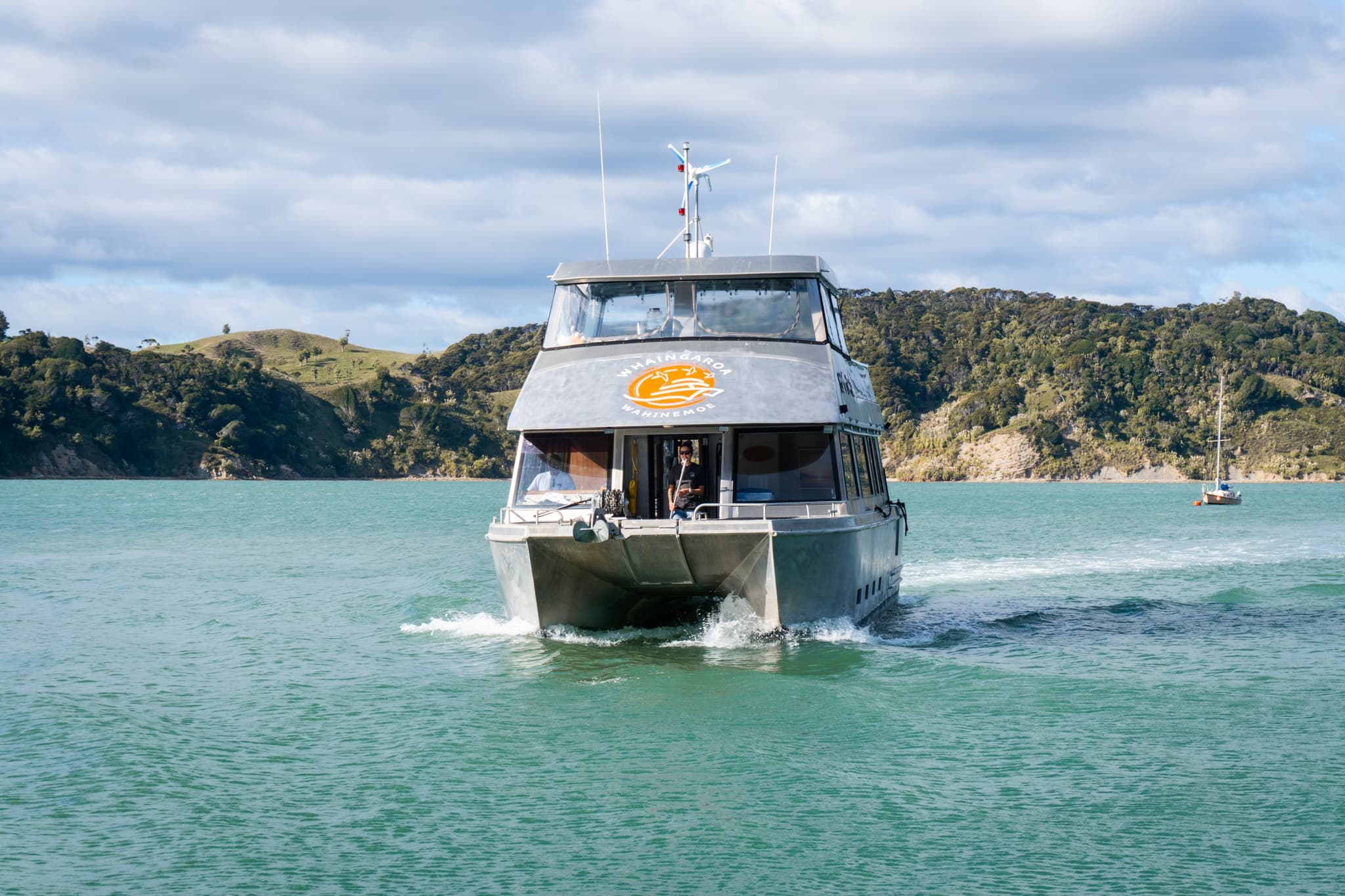 Sunset Nature Cruise with Raglan Boat Charters
