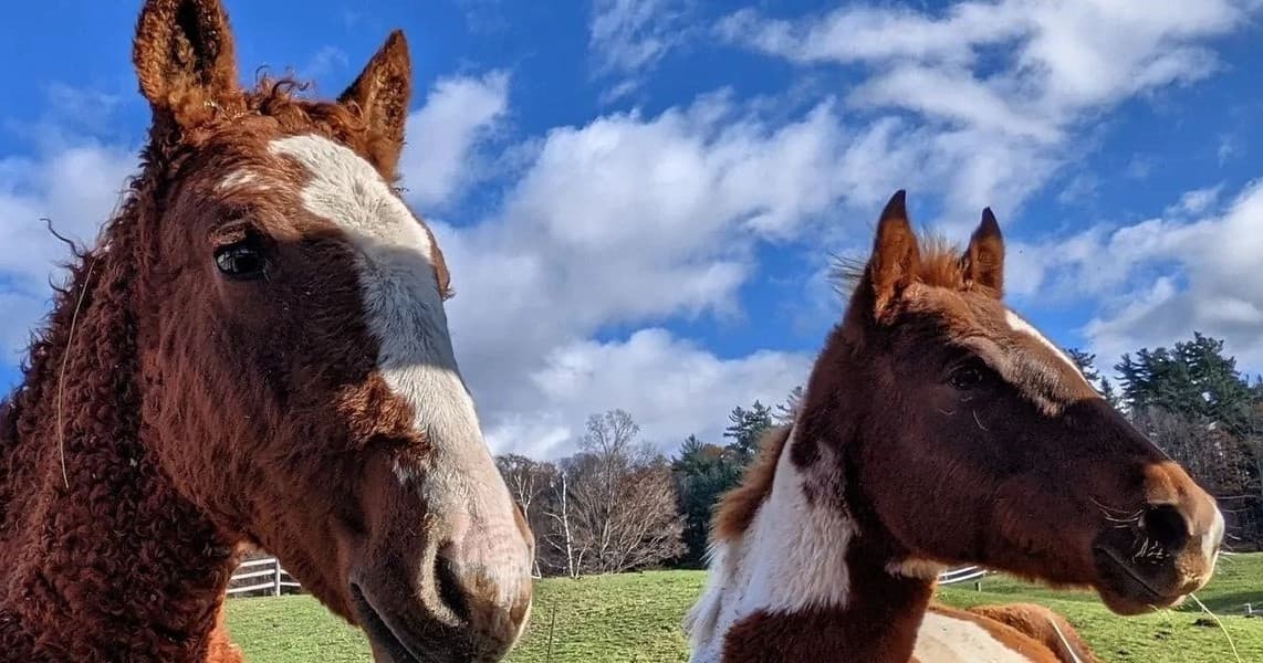 Ranch Horseback Riding & Activities at Von Doeler's Ranch