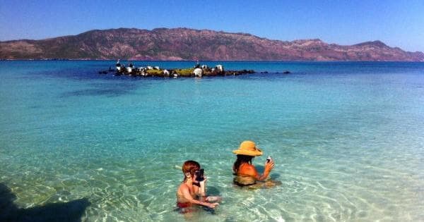Snorkeling Adventure at Coronado Island with Wild Loreto Tours