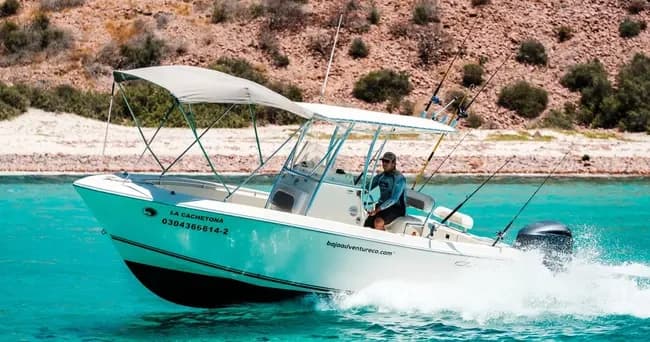 Cobia 24' — La Paz 7-Hour Fishing, Spearfishing & Espiritu Santo Tours