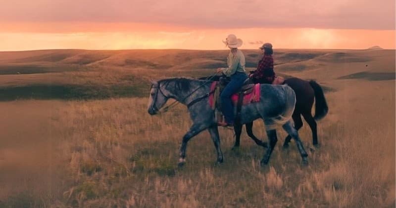 Sunset Ride on the Divide: Prairie Horses & Fireside Wine near McLain MS photo 1