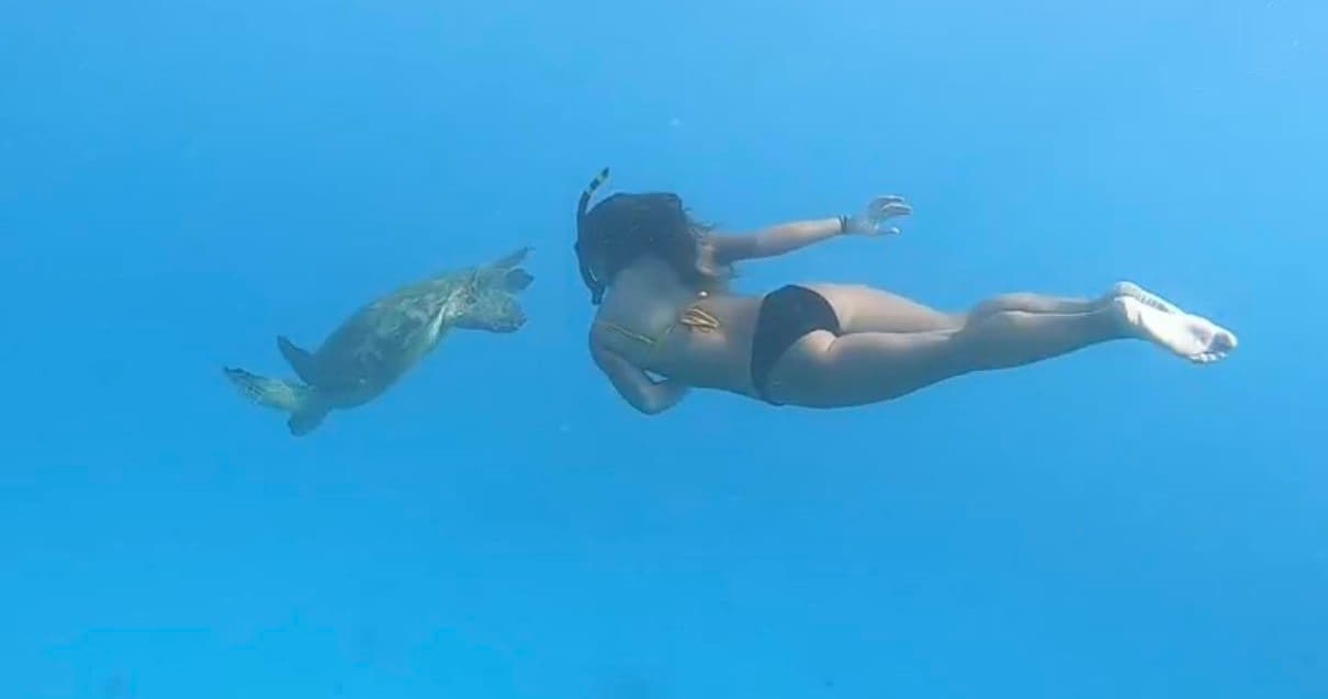 Water Activities with Royal Hawaiian Catamaran in Hawaii