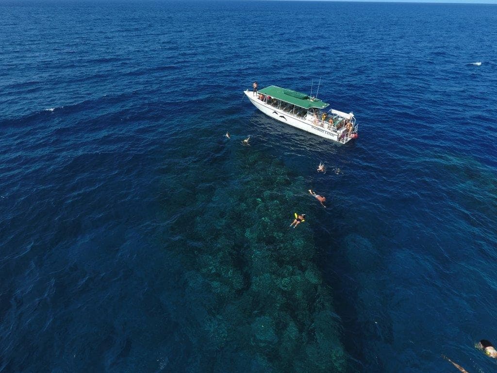 Private Charter Sanity Vessel Whale Watch in Lahaina