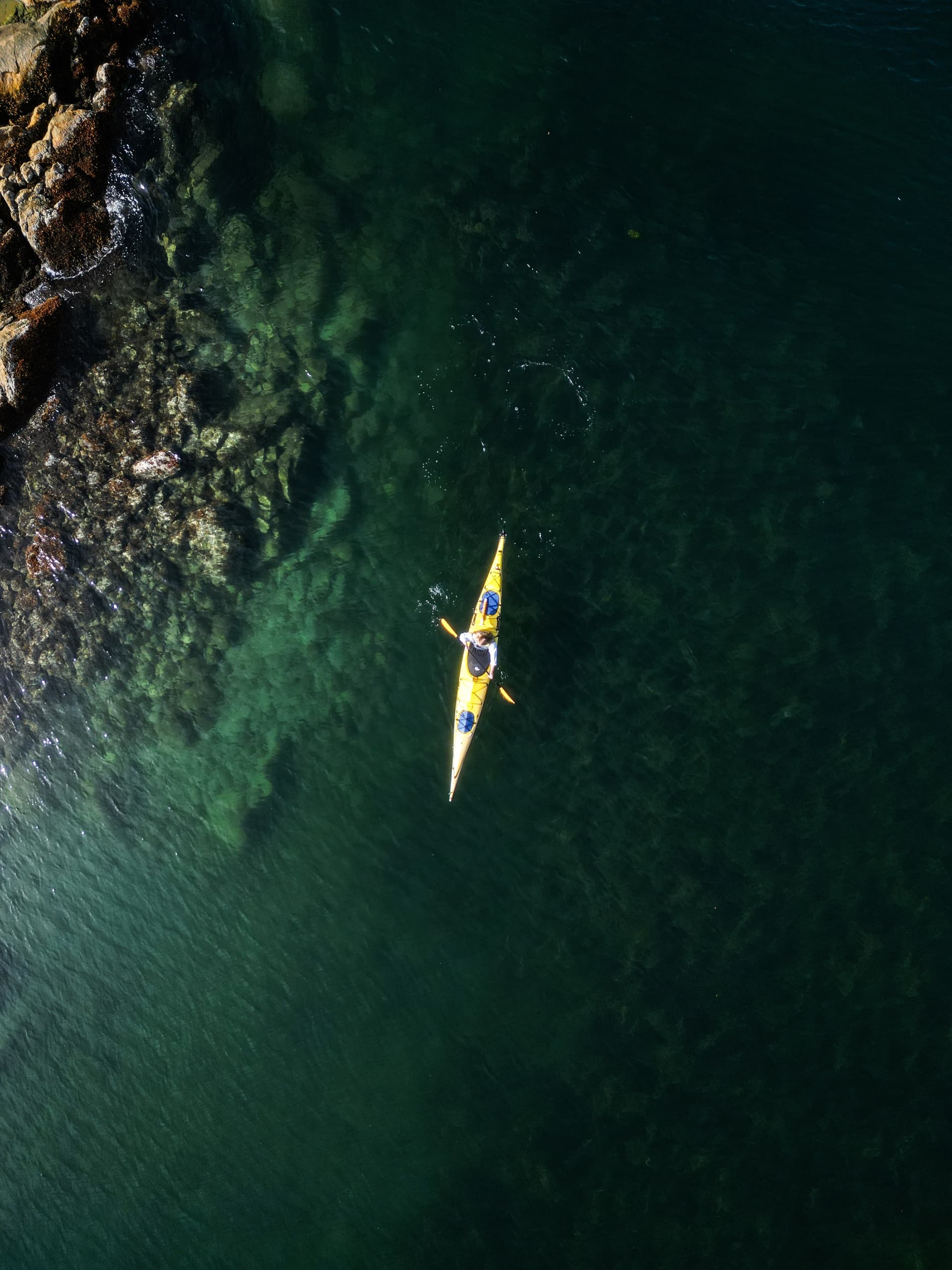 Remote Kayaking Trip with Tofino Resort & Marina in BC
