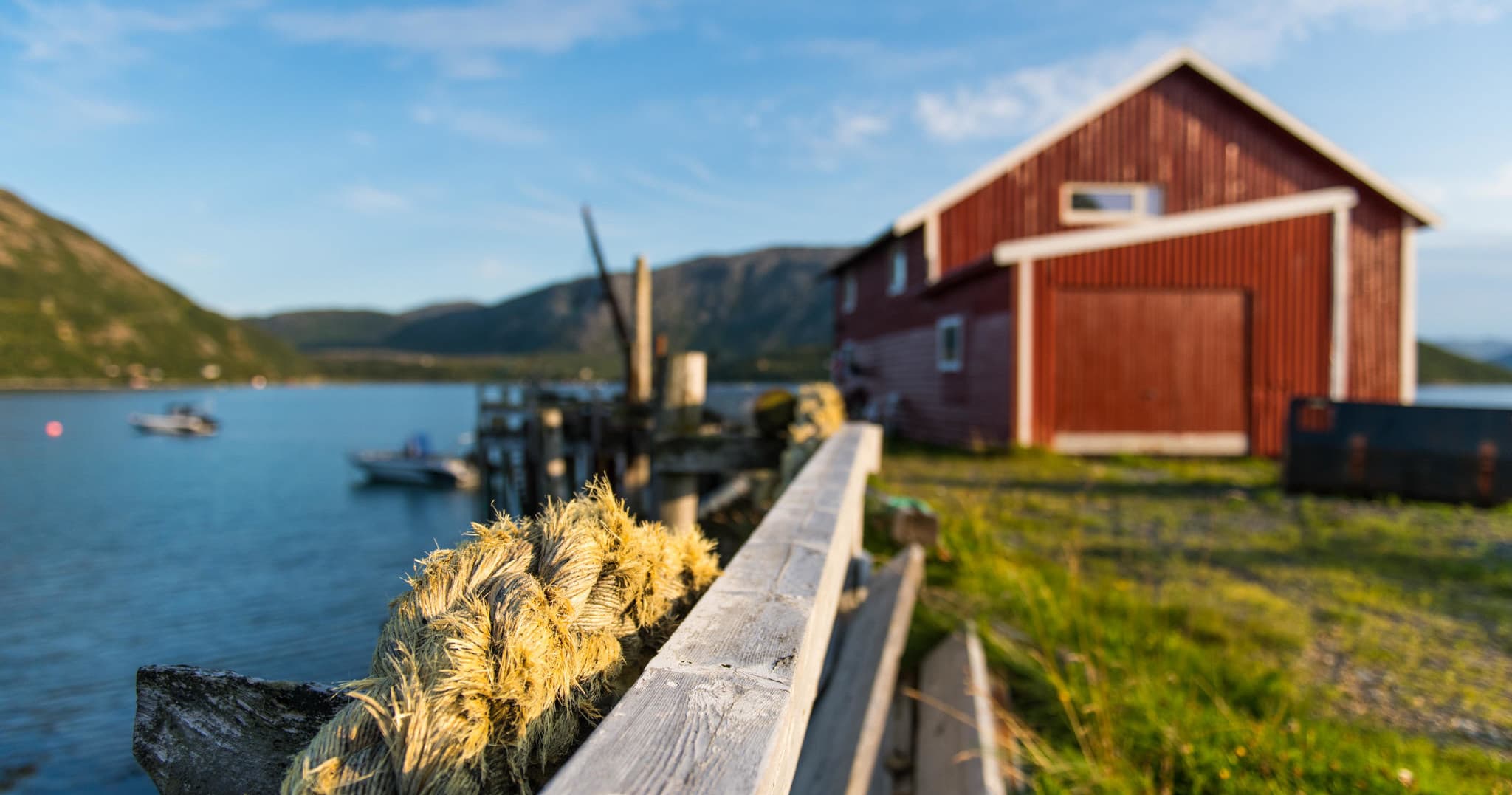 Arctic Fjord Tour & Hike with Northern Norway Travel