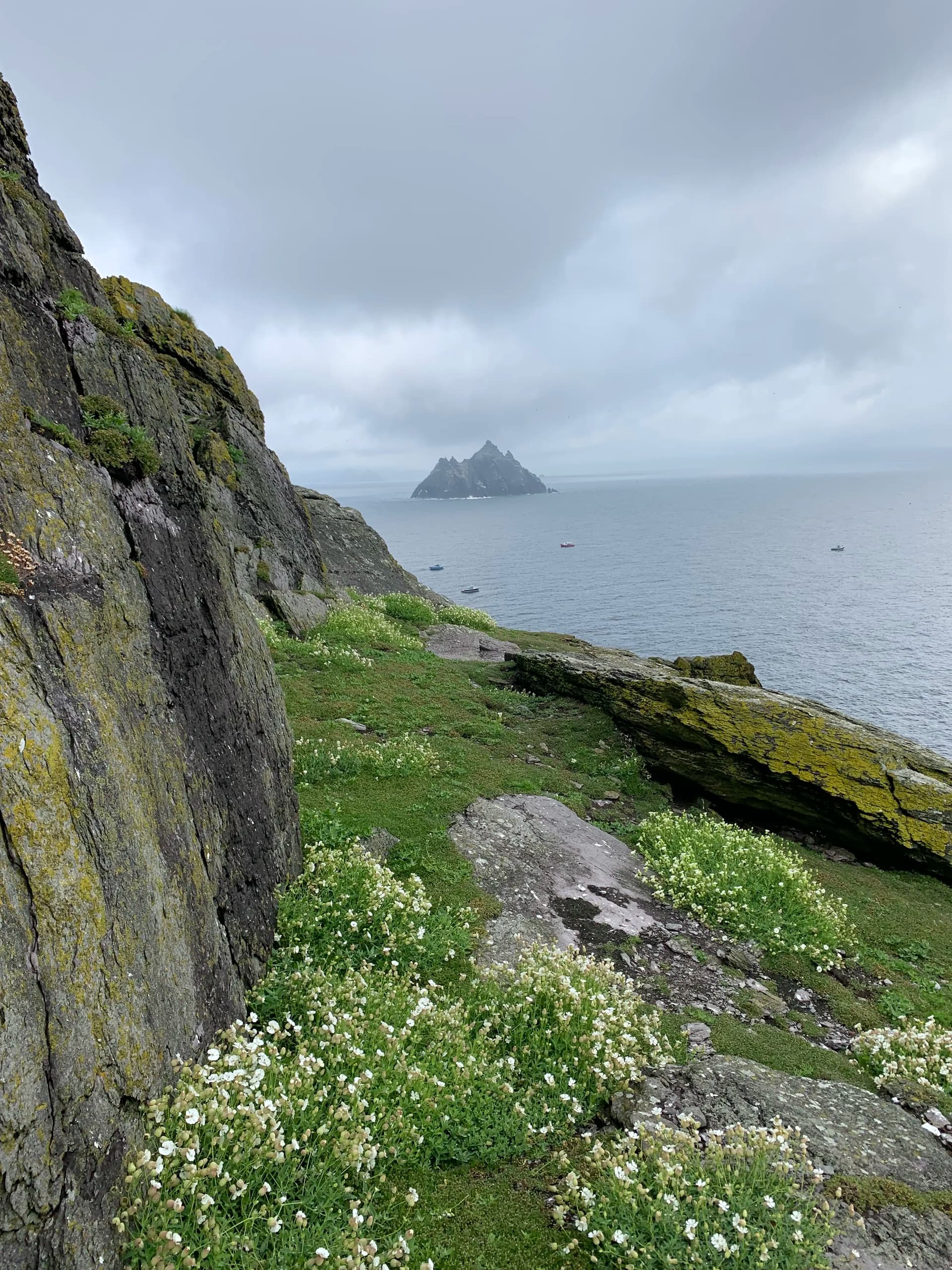 Skellig Michael & Ring of Kerry Private Tour: UNESCO Island, Seabirds & Coastal Drive photo 3