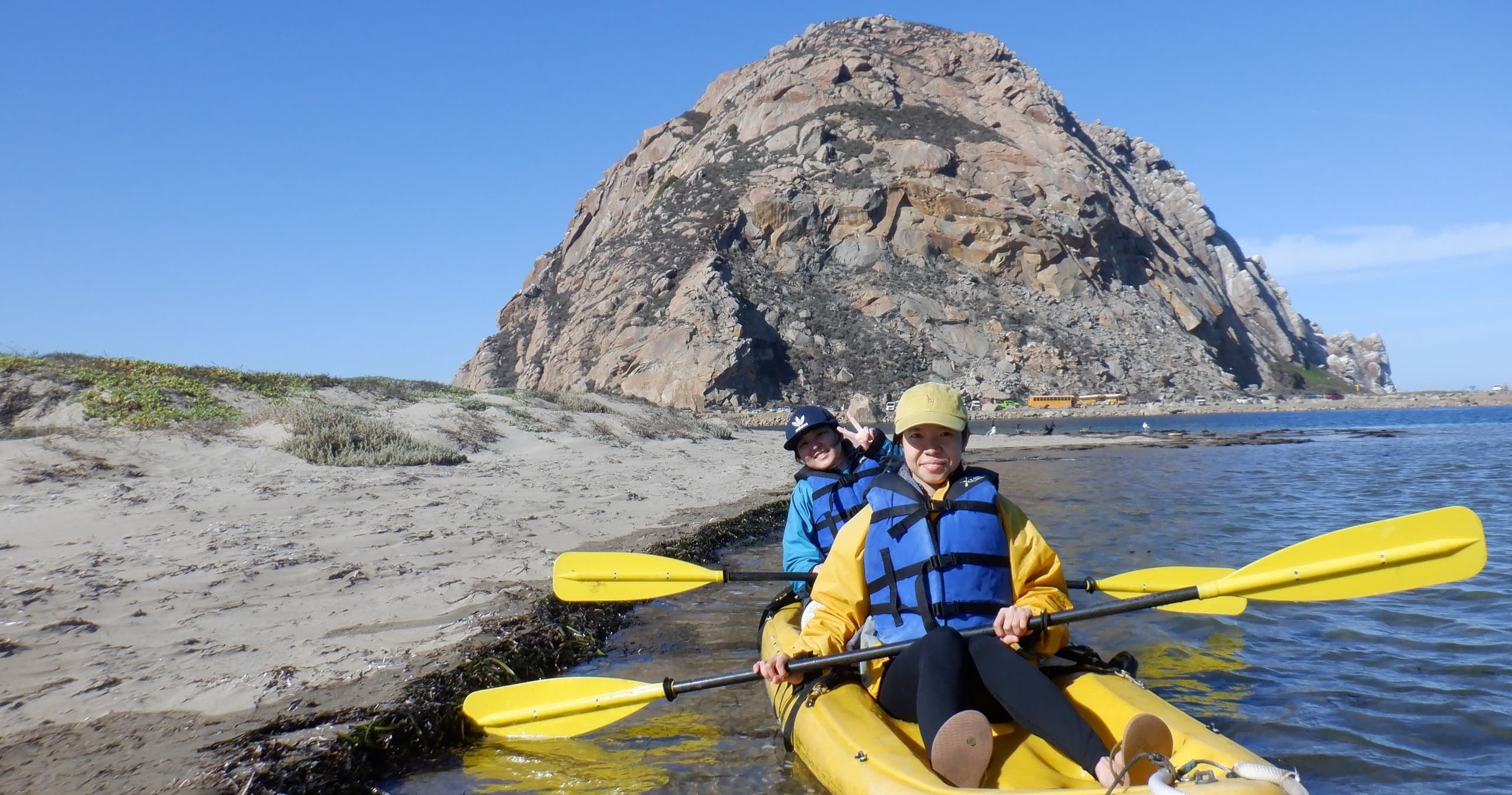 Morro Bay Wildlife Tour