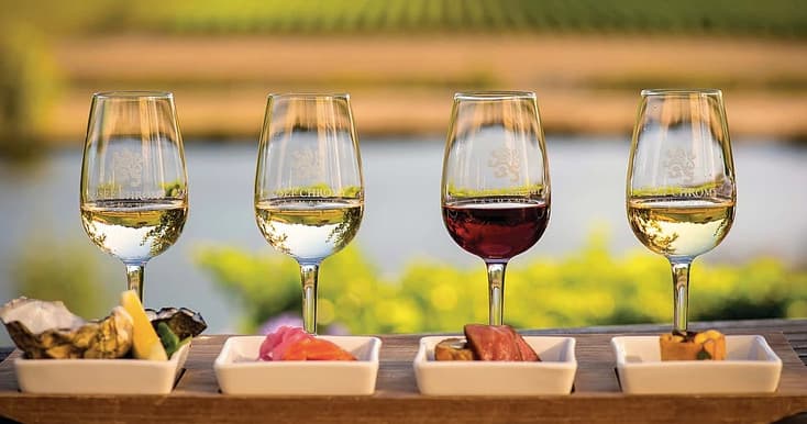 Wine Tasting & Vineyard Tours in Launceston | Discover Tasmania Tours